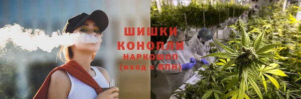 PSILOCYBIN Богородск