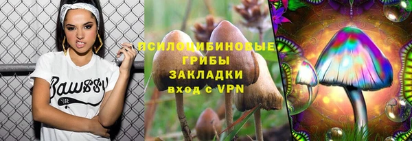 PSILOCYBIN Богородск