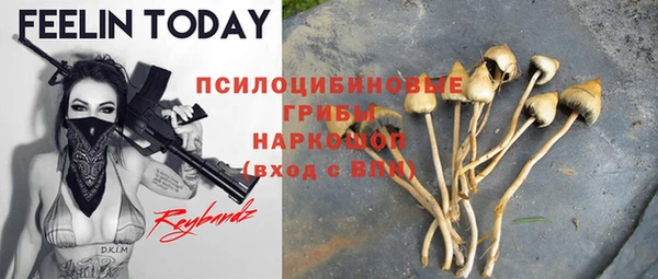 PSILOCYBIN Богородск