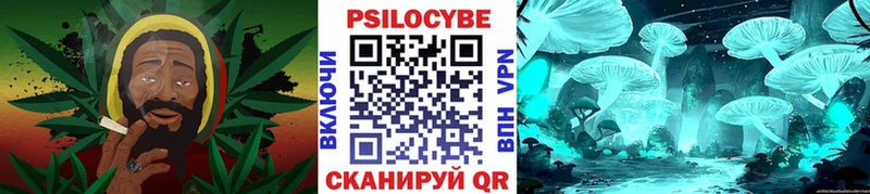 купить наркотик  Красновишерск  hydra зеркало  Псилоцибиновые грибы Psilocybe 