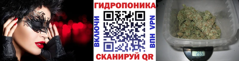 Бошки Шишки гибрид Красновишерск